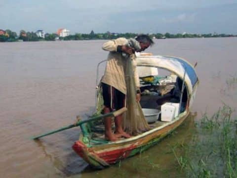 Heavy rainfall eases drought effects in Mekong Delta