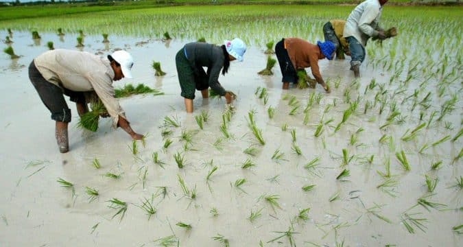 Cambodia’s Catholics and Buddhists join hands in Season of Creation