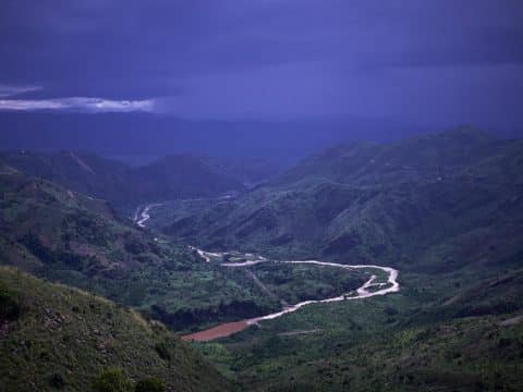 Catholics in Africa celebrate Congo Basin as the Earth’s second ‘lung’