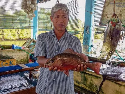 Five honoured with Magsaysay Award