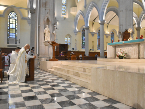 The obligation to preach stressed on Mission Sunday