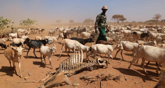 Kenyan bishops urge decisive action on climate change-induced drought