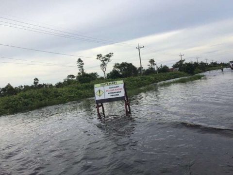 Indonesian flood disaster blamed on palm oil firms