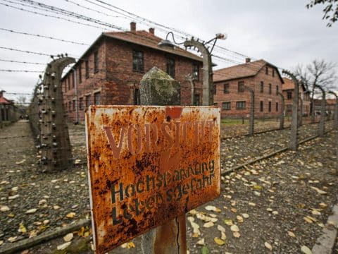 Never forget or repeat horrors of Holocaust, pope says