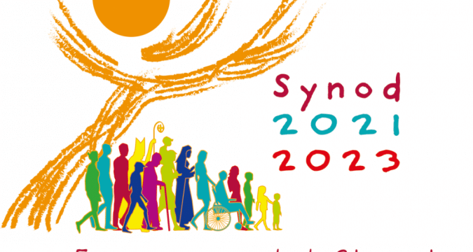 Synodal process showing good progress and some challenges