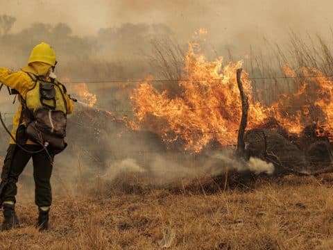 Caritas seeks funds as millions of acres burn in Argentina