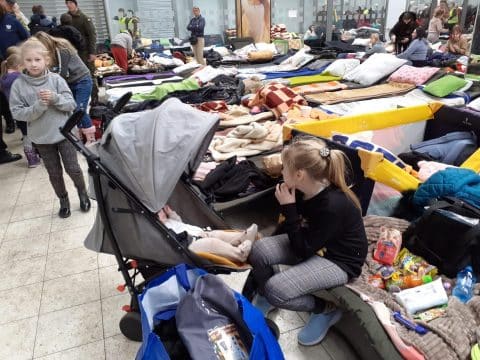 Polish archbishop updates pope on aid to Ukraine refugees