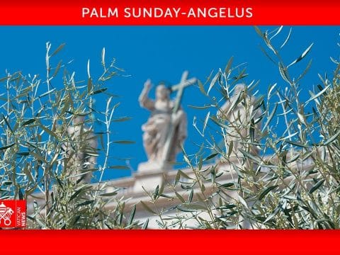 Palm Sunday Angelus with Pope Francis,10 April  2022. St. Peter’s Square