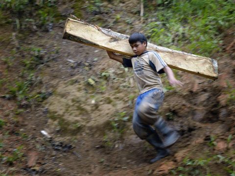 Scourge of child labour shames Asia