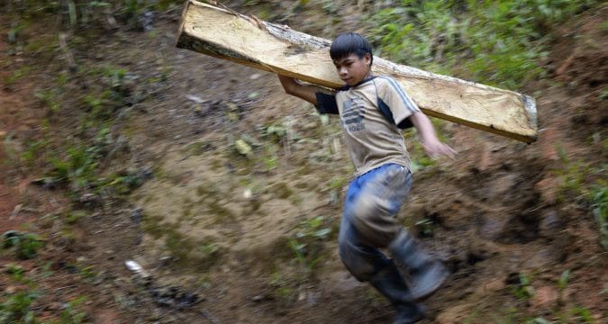 Tackle the poverty driving children into forced labour, pope says