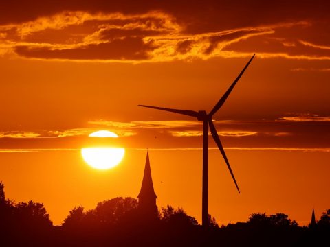 ￼Pope calls for united efforts in care for creation during Laudato Si’ Week