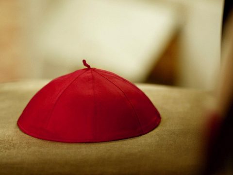 Pope announces new cardinals, including six from Asia
