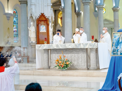 Every Christian called to bear witness to faith and pray for vocations