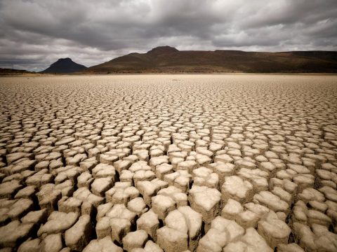 Pope says fighting climate change is a moral imperative 