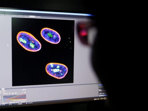 Science needs ethicists and more open debate, some say at Vatican conference