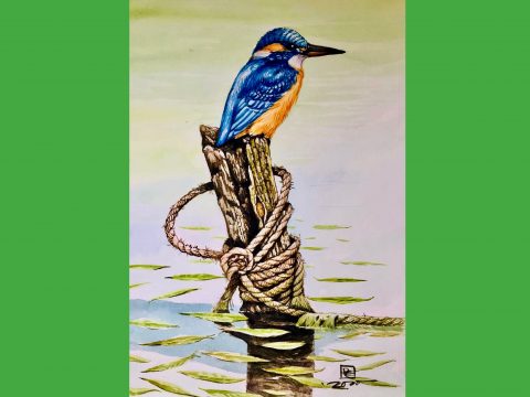 Art gallery for you
