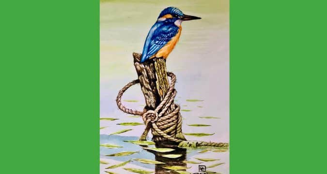 Art gallery for you