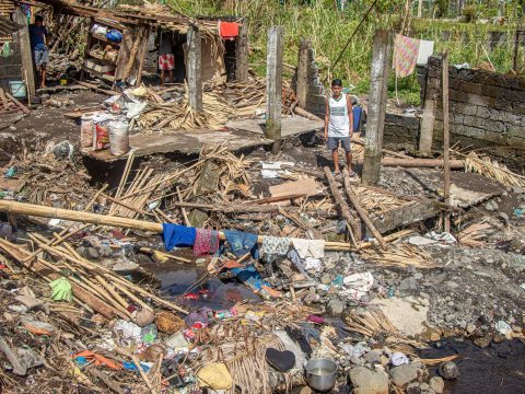 Can we protect the planet and prevent the extinction of species?