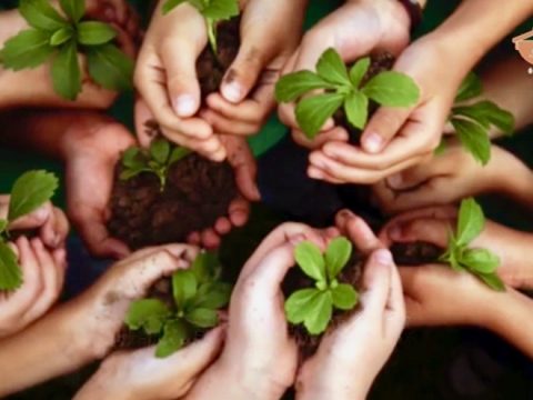 Building the Kingdom of God through social concern