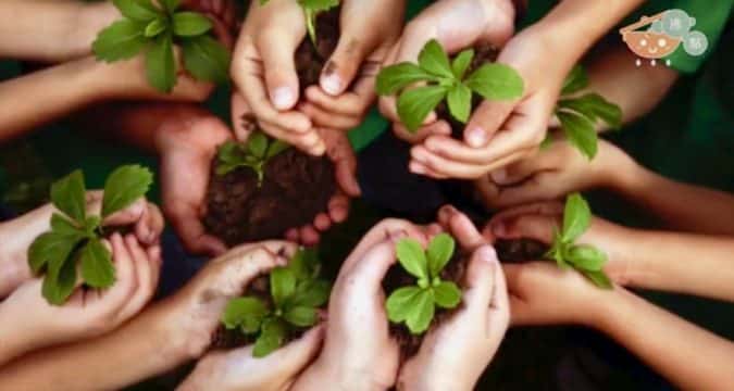 Building the Kingdom of God through social concern
