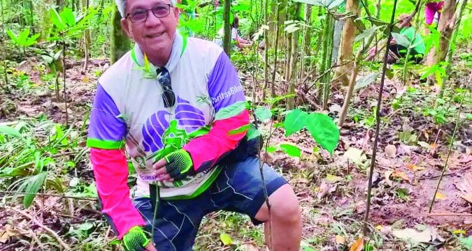 Planting bamboo to save the environment
