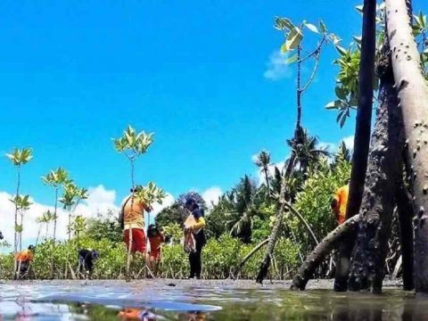 Bid launched to save Philippine coastlines