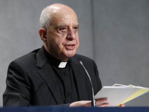 Members of Dicastery for Evangelisation’s first section named