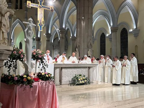 May Our Lady of Sheshan intercede for the unity of the Church