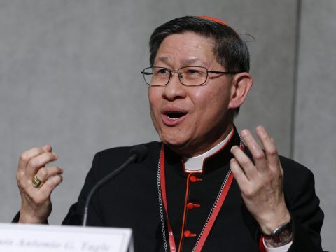 Continue the story of vocations through mission cardinal urges