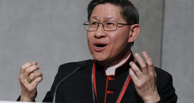 Continue the story of vocations through mission cardinal urges