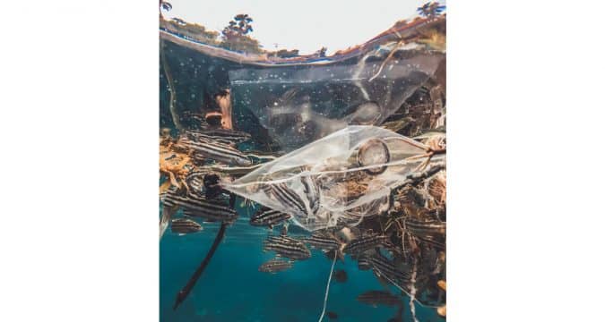 World Oceans Day, the tide has turned