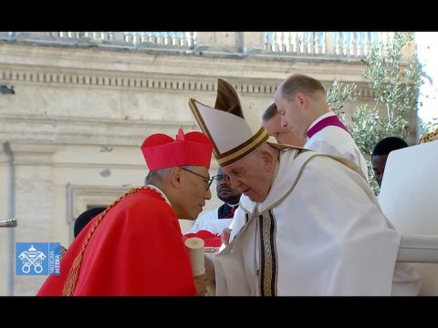 Habemus cardinalem! Cardinal Stephen Chow, SJ