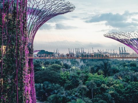 Catholics in Singapore mark the Season of Creation