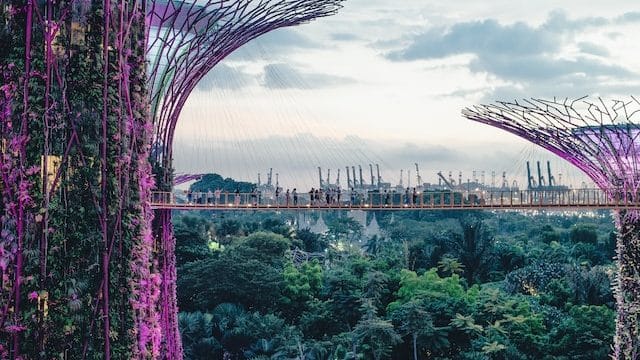 Catholics in Singapore mark the Season of Creation