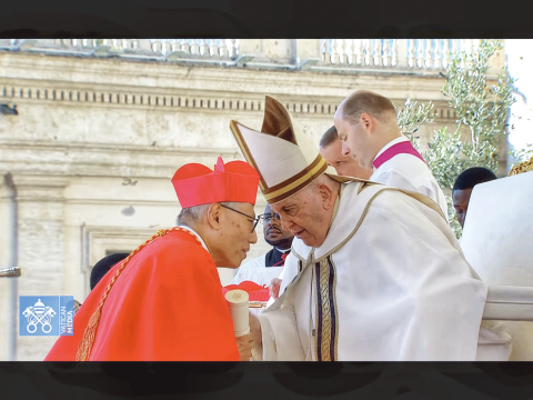 Congratulations to Cardinal Stephen on the first anniversary of his elevation to the college of cardinals