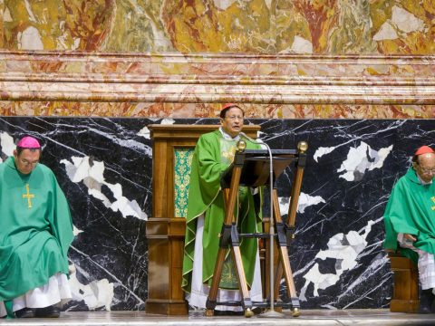 Synodal journey is about healing, reconciling the world, cardinal says
