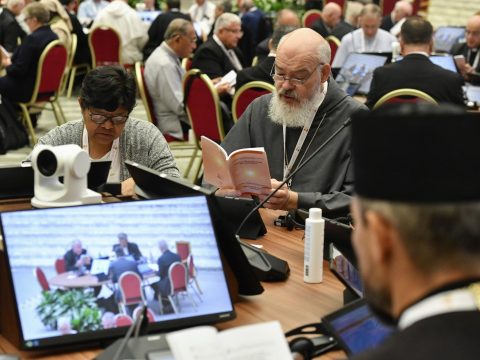 Cardinal addresses ‘exaggerated expectations’ over synod