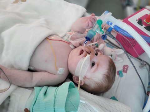 Baby girl whose life support was halted by British court, dies