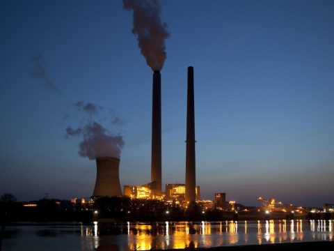 Hopes that COP28 resolutions will help environmental awareness