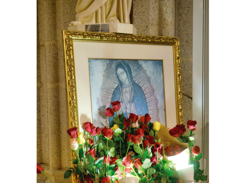 Celebrating Our Lady of Guadalupe
