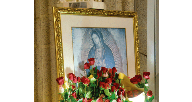 Celebrating Our Lady of Guadalupe
