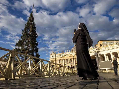 Vatican Christmas tree arrives