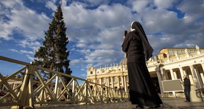Vatican Christmas tree arrives