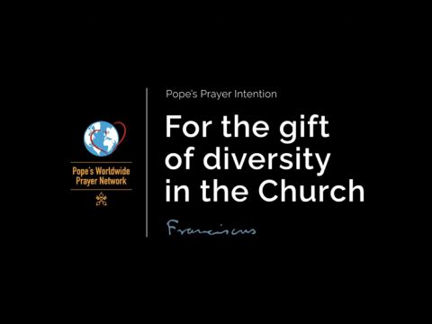 Diversity in the Church must not be feared, pope says