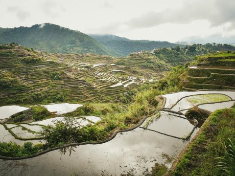 Caritas Philippines skeptical about agricultural land handouts