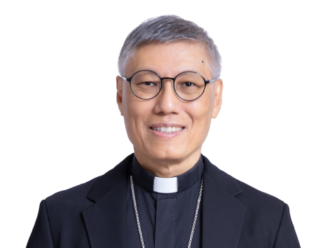 Reflections from the cardinal: In the One, we are one