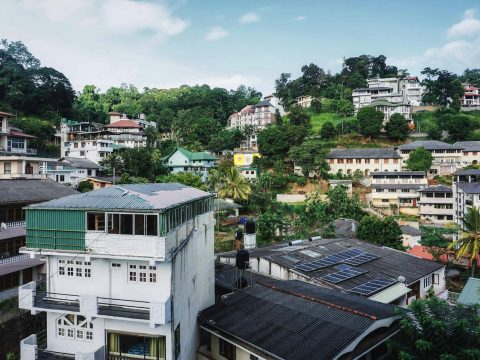 Korean bishops caution against losing green spaces
