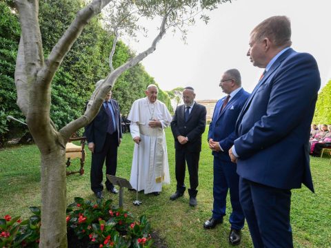 Under olive tree planted as sign of peace, prayers offered for Holy Land