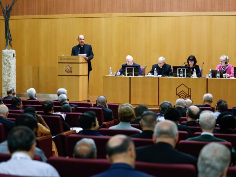 Synod delegates discuss empowering local Churches