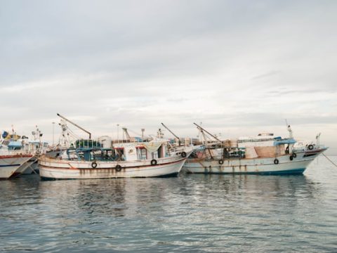 Protect fishing from predatory practices, lethal economy, cardinal says